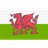 Logo Wales