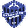 Logo Buckhurst Hill