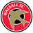 Logo Walsall