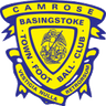 Logo Basingstoke Town