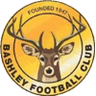 Logo Bashley