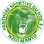 Logo Panthère