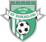 Logo Dukagjini