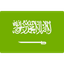 Logo Saudi Arabia