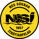 Logo NSÍ