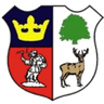Logo Cinderford Town