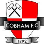 Logo Cobham