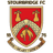 Logo Stourbridge
