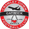 Logo Crawley Down Gatwick