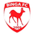 Logo Binga