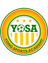 Logo Young Sport Academy