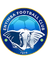 Logo Enyimba