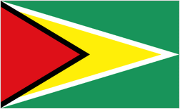 Logo Guyana