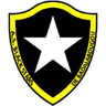Logo Black Stars