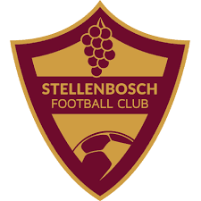 Logo Stellenbosch