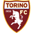 Logo Torino