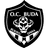 Logo Bukavu Dawa