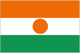 Logo Niger